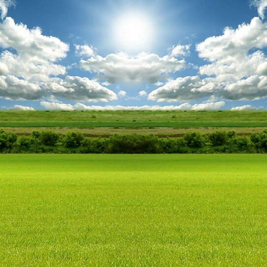 Das Bild zeigt ein sonniges Landschaftsbild mit einer grünen Wiese und blauem Himmel mit einigen hellen Wolken. 