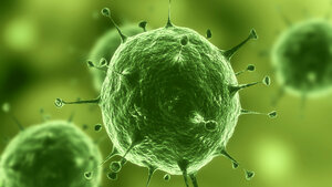 Coronavirus SARS-CoV-2 Informationen