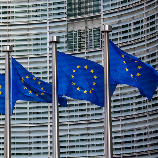 Das Bild zeigt eine Reihe von europäischen Flaggen vor dem Hauptgebäude der Europäischen Kommission. 