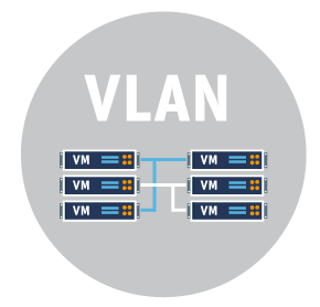 Vlan Grafik auf grauem Kreis